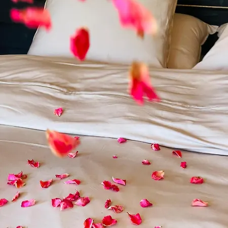 Domaine O Calines Cardeilhac