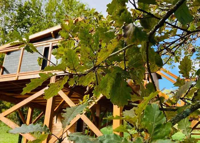 Domaine O Calines Cardeilhac