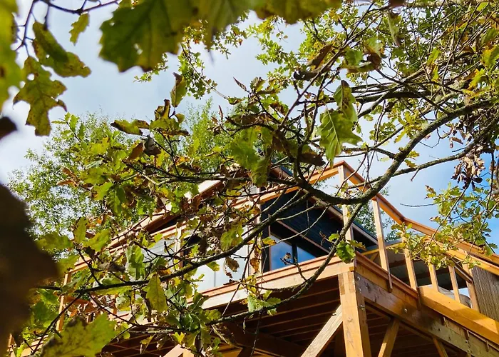 Domaine O Calines Lodge Cardeilhac